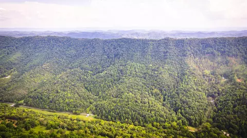 5384 Clinch Mountain Road Eidson Tn 37731, Eidson, TN 37731 photo 50