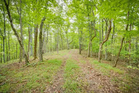 5384 Clinch Mountain Road Eidson Tn 37731, Eidson, TN 37731 photo 44