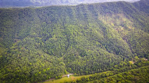 5384 Clinch Mountain Road Eidson Tn 37731, Eidson, TN 37731 photo 48