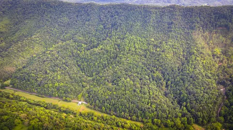 5384 Clinch Mountain Road Eidson Tn 37731, Eidson, TN 37731 photo 49