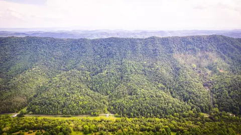5384 Clinch Mountain Road Eidson Tn 37731, Eidson, TN 37731 photo 51