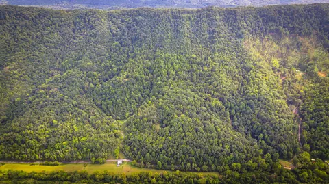 5384 Clinch Mountain Road Eidson Tn 37731, Eidson, TN 37731 photo 47