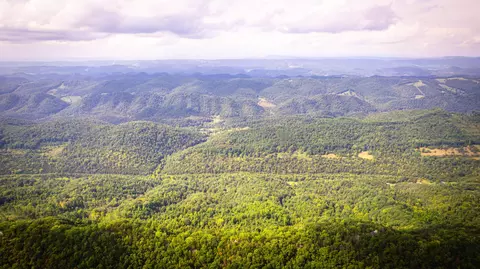 5384 Clinch Mountain Road Eidson Tn 37731, Eidson, TN 37731 photo 54