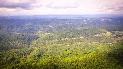 5384 Clinch Mountain Road Eidson Tn 37731, Eidson, TN 37731 photo 55