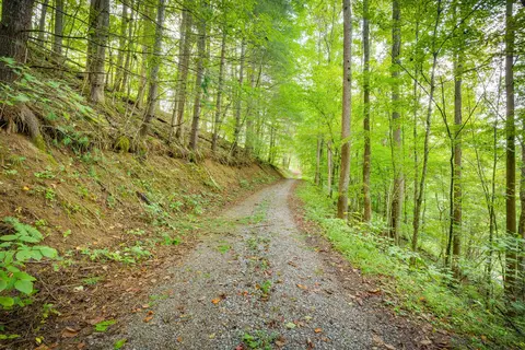 5384 Clinch Mountain Road Eidson Tn 37731, Eidson, TN 37731 photo 42