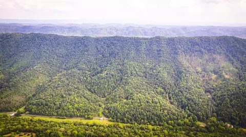 5384 Clinch Mountain Road Eidson Tn 37731, Eidson, TN 37731 photo 59