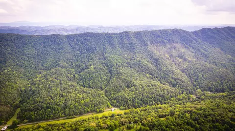 5384 Clinch Mountain Road Eidson Tn 37731, Eidson, TN 37731 photo 52