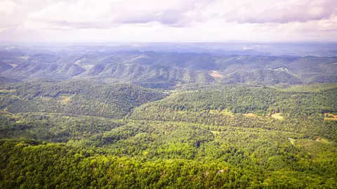 5384 Clinch Mountain Road Eidson Tn 37731, Eidson, TN 37731 photo 56