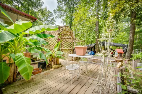 5384 Clinch Mountain Road Eidson Tn 37731, Eidson, TN 37731 photo 5