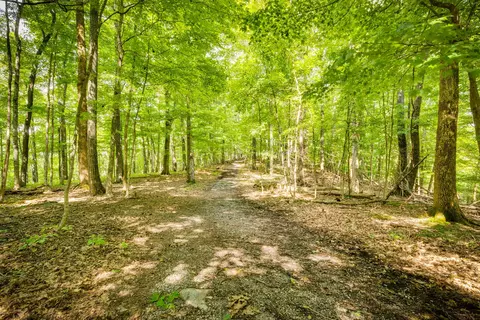 tbd Hickory Springs Rd Road Johnson City Tn 37604, Johnson City, TN 37604