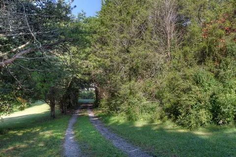 1211 Bailey Bridge Road Limestone Tn 37681, Limestone, TN 37681 photo 48