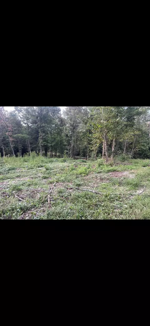 lot6 Race Track Road Rogersville Tn 37857, Rogersville, TN 37857