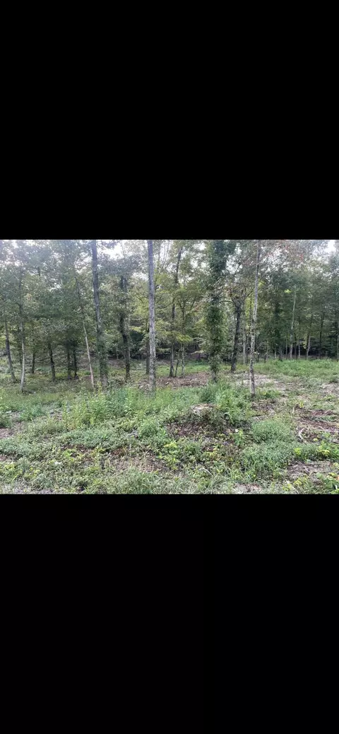 lot5 Race Track Road Rogersville Tn 37857, Rogersville, TN 37857