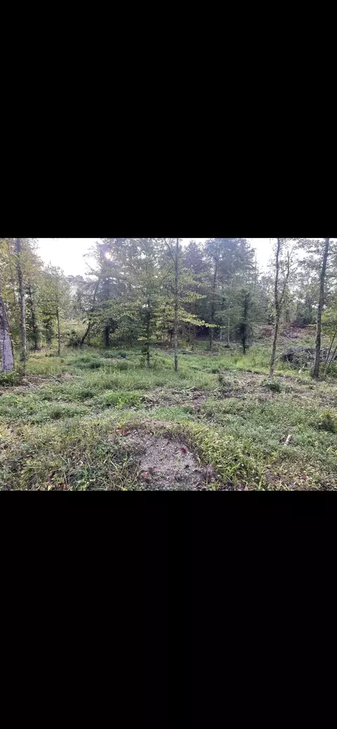 lot4 Race Track Road Rogersville Tn 37857, Rogersville, TN 37857
