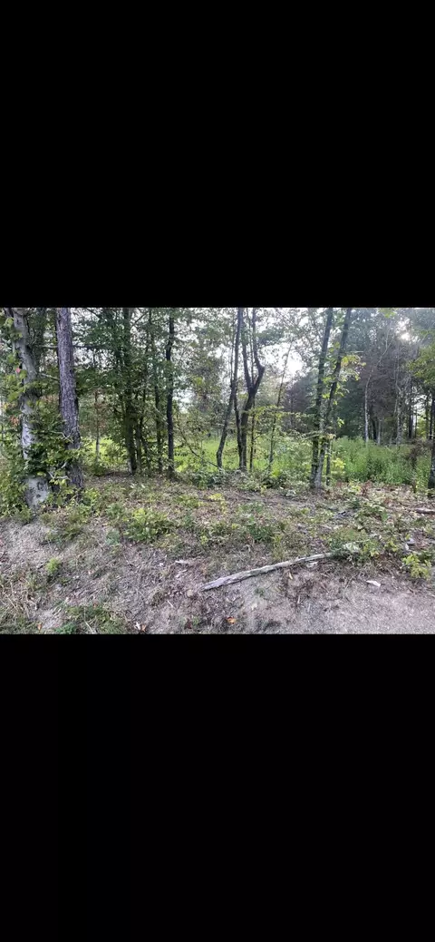 lot3 Race Track Road Rogersville Tn 37857, Rogersville, TN 37857