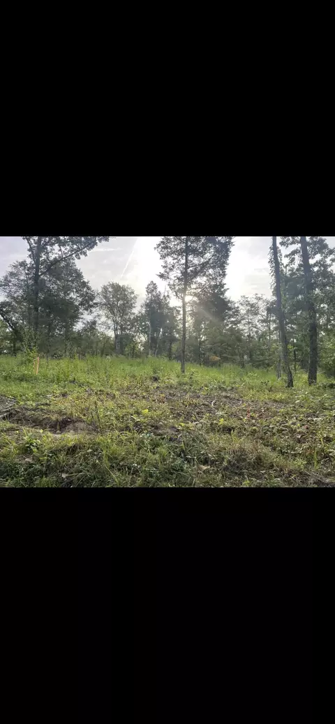 lot2 Race Track Road Rogersville Tn 37857, Rogersville, TN 37857