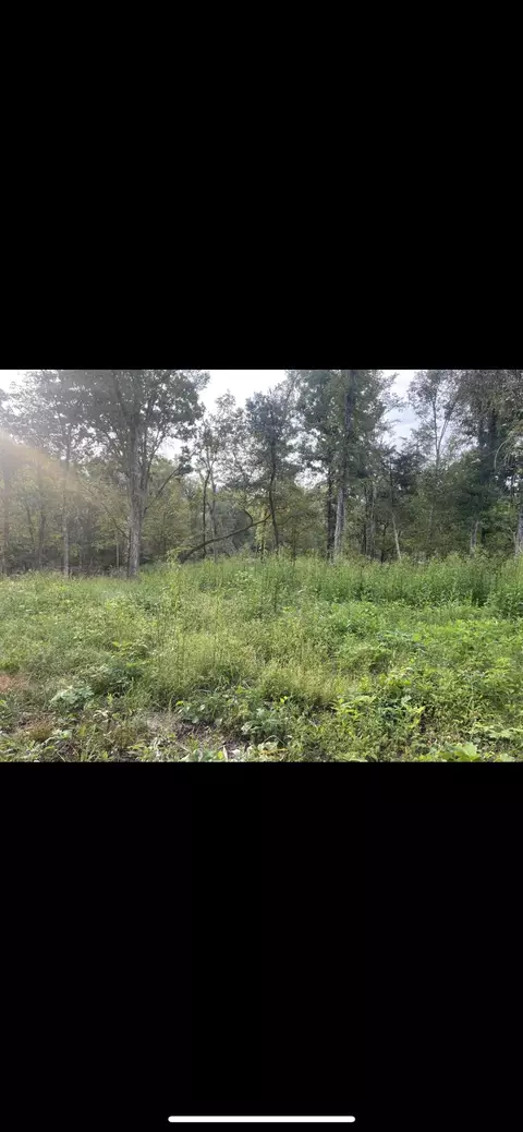 lot1 Race Track Road Rogersville Tn 37857, Rogersville, TN 37857