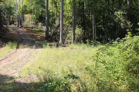 1654 Mining Town Road Mountain City Tn 37683, Mountain City, TN 37683