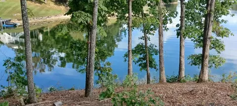 0 King Drive Gray Tn 37615, Gray, TN 37615
