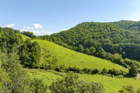 tbd Big Creek Road Road Sneedville Tn 37869, Sneedville, TN 37869