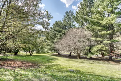 17391 Morrison Road Meadowview Va 24361, Meadowview, VA 24361 photo 8