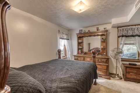17391 Morrison Road Meadowview Va 24361, Meadowview, VA 24361 photo 28