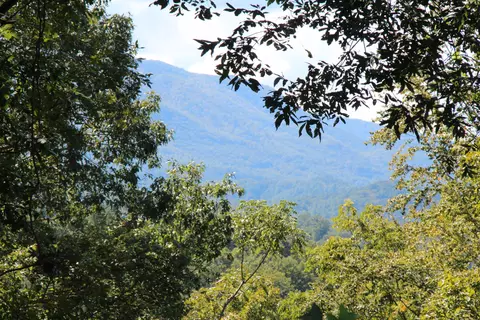lot Apt 49 Redbud Circle Butler Tn 37640, Butler, TN 37640