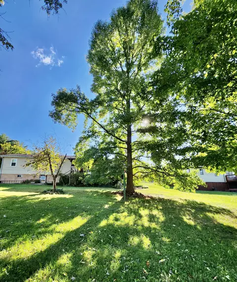 140 Polk Street Erwin Tn 37650, Erwin, TN 37650 photo 27