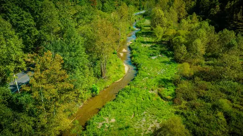tbd Bear Hollow Road Bristol Tn 37620, Bristol, TN 37620