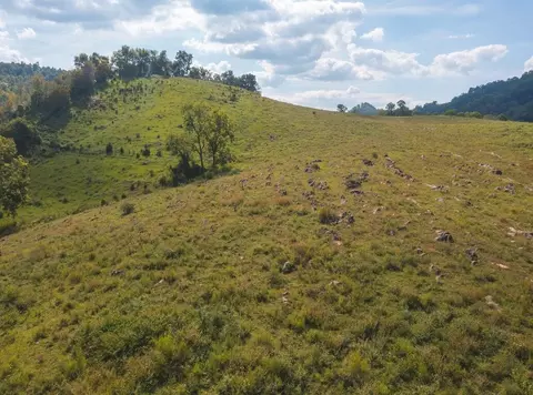 215 Eb Hollow Road Eidson Tn 37731, Eidson, TN 37731 photo 40