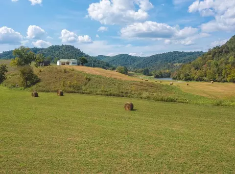 215 Eb Hollow Road Eidson Tn 37731, Eidson, TN 37731 photo 11