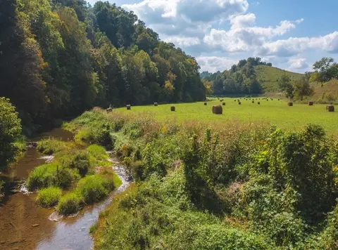 215 Eb Hollow Road Eidson Tn 37731, Eidson, TN 37731 photo 9