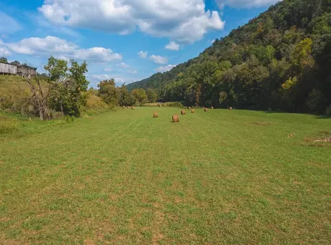 215 Eb Hollow Road Eidson Tn 37731, Eidson, TN 37731 photo 34