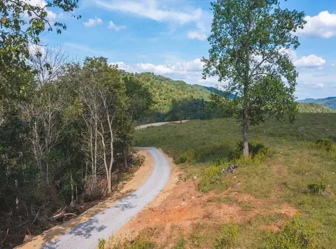 215 Eb Hollow Road Eidson Tn 37731, Eidson, TN 37731 photo 21
