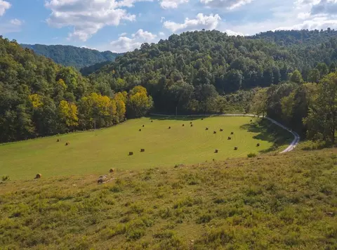 215 Eb Hollow Road Eidson Tn 37731, Eidson, TN 37731 photo 41