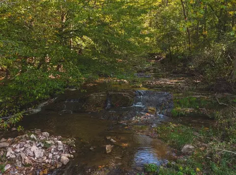 215 Eb Hollow Road Eidson Tn 37731, Eidson, TN 37731 photo 55