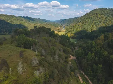 215 Eb Hollow Road Eidson Tn 37731, Eidson, TN 37731 photo 24