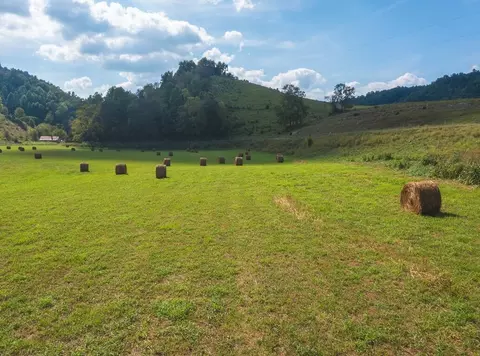 215 Eb Hollow Road Eidson Tn 37731, Eidson, TN 37731 photo 32