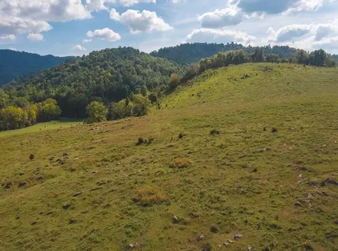 215 Eb Hollow Road Eidson Tn 37731, Eidson, TN 37731 photo 18