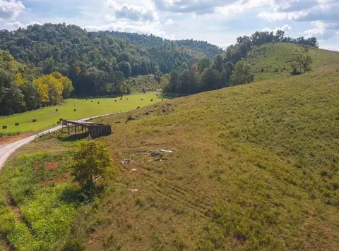 215 Eb Hollow Road Eidson Tn 37731, Eidson, TN 37731 photo 39
