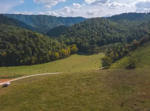 215 Eb Hollow Road Eidson Tn 37731, Eidson, TN 37731 photo 43