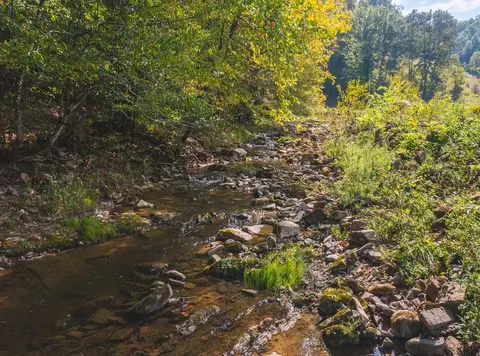 215 Eb Hollow Road Eidson Tn 37731, Eidson, TN 37731 photo 54