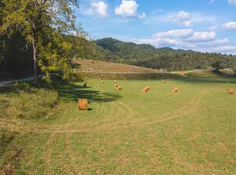 215 Eb Hollow Road Eidson Tn 37731, Eidson, TN 37731 photo 49