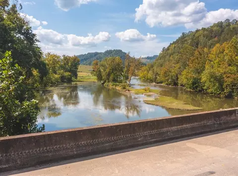 215 Eb Hollow Road Eidson Tn 37731, Eidson, TN 37731 photo 59