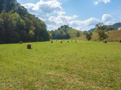 215 Eb Hollow Road Eidson Tn 37731, Eidson, TN 37731 photo 10