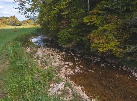 215 Eb Hollow Road Eidson Tn 37731, Eidson, TN 37731 photo 51