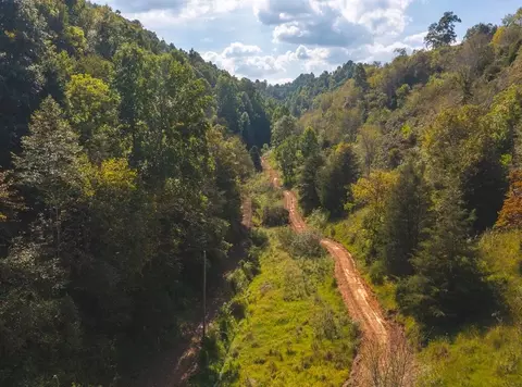 215 Eb Hollow Road Eidson Tn 37731, Eidson, TN 37731 photo 45