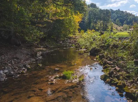 215 Eb Hollow Road Eidson Tn 37731, Eidson, TN 37731 photo 53