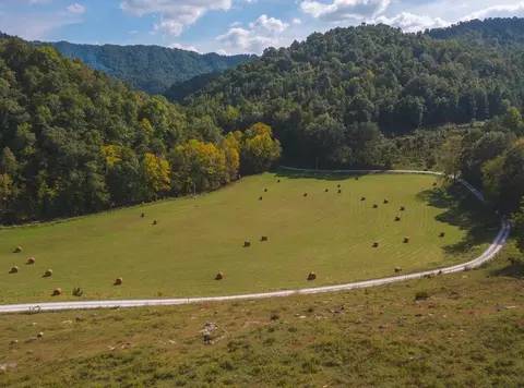 215 Eb Hollow Road Eidson Tn 37731, Eidson, TN 37731 photo 42