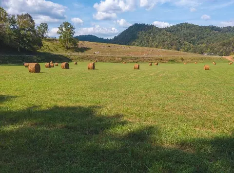 215 Eb Hollow Road Eidson Tn 37731, Eidson, TN 37731 photo 57
